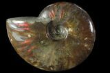 Iridescent Red Flash Ammonite (With Pyrite) - Madagascar #81387-1